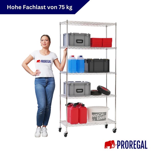 Drahtgitterregal auf Rollen mit fünf Fachböden aus Metall, belastbar bis zu 75 Kilogramm pro Fachboden. Eine Person steht daneben. Proregal Logo.