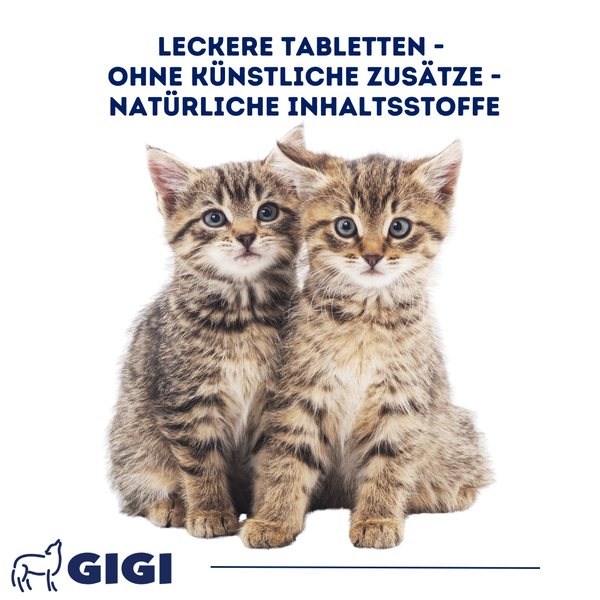 Zwei gestreifte Kätzchen vor Text über Katzenfuttertabletten