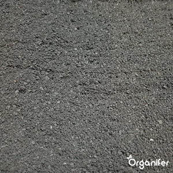 Lavagrus aus Eifeler Urgestein (25x - 500 kg für 5.000 m2) - Organifer