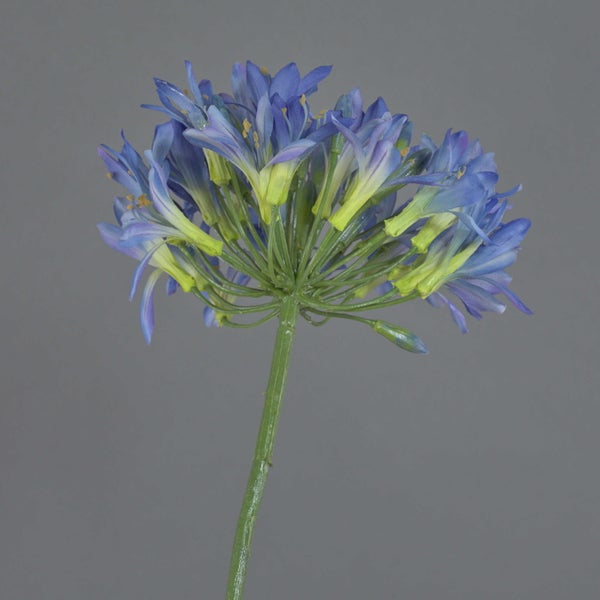 Künstliche Schmucklilie Agapanthus mit blauem Blütenstand und grünem Stiel.