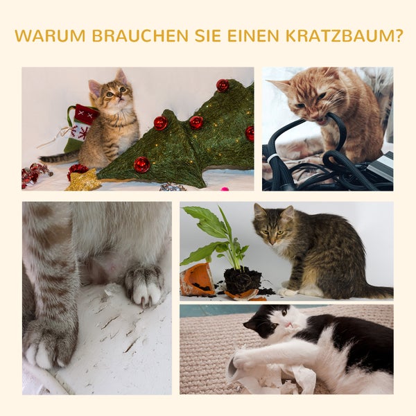 Mehrere Fotos zeigen Katzen, die an Möbeln kratzen, an Kabeln knabbern, mit Papier spielen und eine umgestürzte Pflanze verursachen; darüber der Text: Warum brauchen Sie einen Kratzbaum?