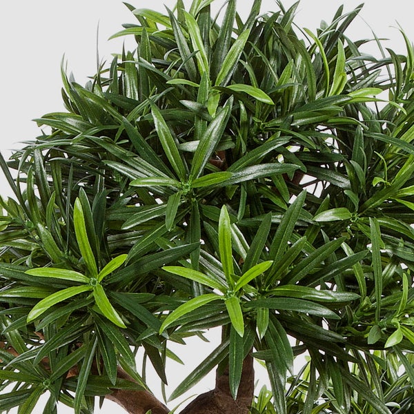 Nahaufnahme einer künstlichen Pflanze mit dichtem grünem Laub und schmalen Blättern an einem braunen Ast.