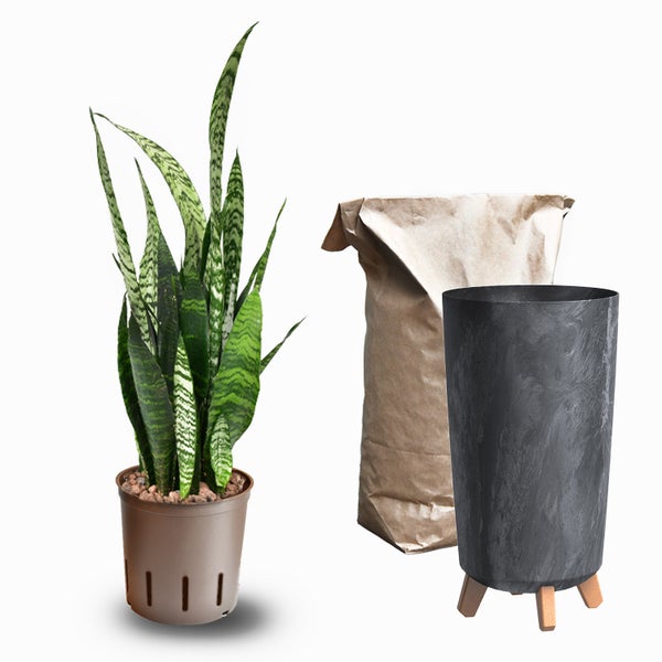 Zimmerpflanze mit Topf, Sack Blumenerde und Pflanzgefäß mit Holzfüßen