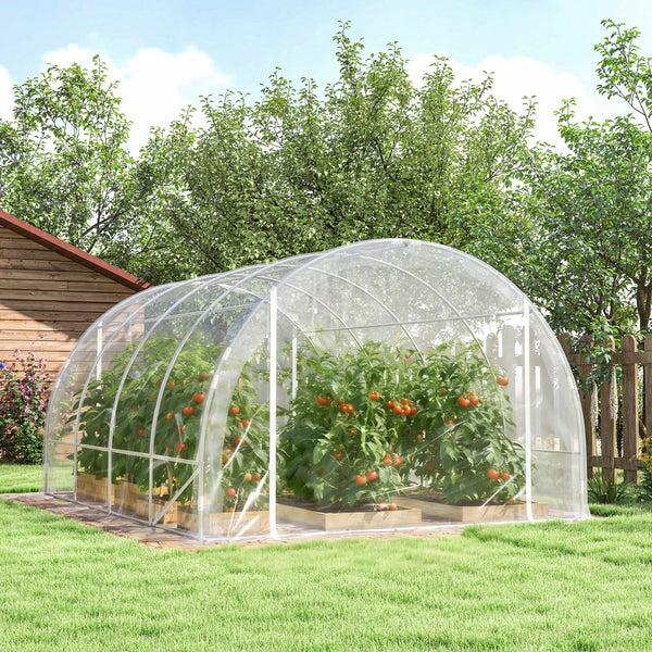 Lichtdurchlässiges Folientunnel-Gewächshaus im Garten mit Tomatenpflanzen in Holzbeeten auf einer Rasenfläche.