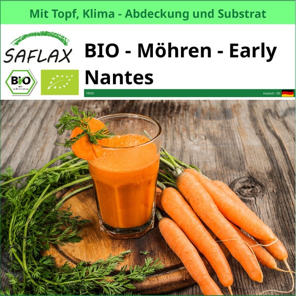 Saflax Bio Möhren Early Nantes Set mit Topf, Klimaabdeckung und Substrat