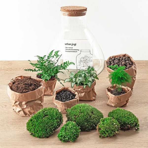 Flaschengarten Sam XL - DIY-Pflanzenterrarium - 35cm - incl. Rechen, Schaufel, Pinzette und Schere