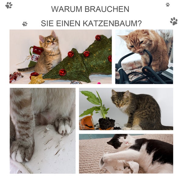 Collage mit Katzen, die unerwünschtes Verhalten zeigen; Text: Warum brauchen Sie einen Katzenbaum?