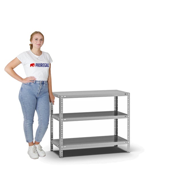 PROREGAL Fachbodenregal Schraubsystem Light-Duty Grundregal HxBxT 80 x 100 x 40 cm 3 Ebenen Fachlast 125 kg Beidseitig Nutzbar Verzinkt