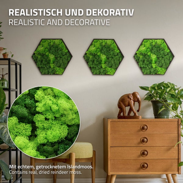 Drei sechseckige Wandbilder mit echtem getrocknetem Islandmoos als moderne Wanddekoration in einem Wohnraum.