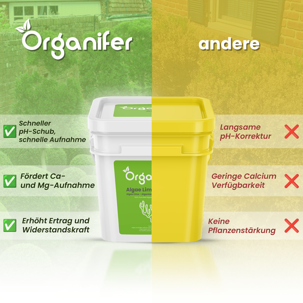 Grafische Gegenüberstellung: Organifer Algenkalk versus andere Produkte, mit Fokus auf pH-Wert, Kalziumaufnahme und Pflanzenstärkung.