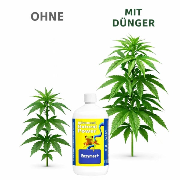 Pflanzenwachstumsvergleich ohne Dünger und mit biologischem Advanced Natural Power Enzymes plus Dünger. Advanced Natural Power Logo.