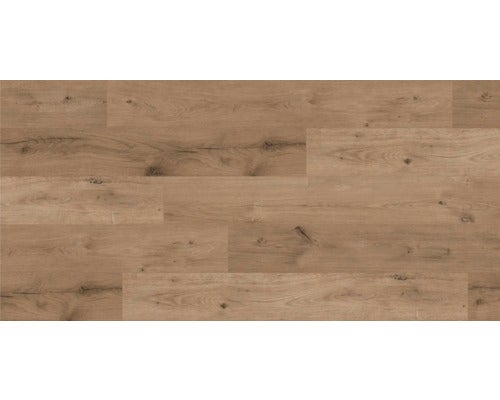 Laminat 8.0 Wildlife