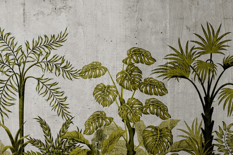 Vliestapete mit Dschungel Motiv und Palmenblättern auf Beton Optik Hintergrund