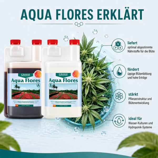 Infografik zu Canna Aqua Flores A und B Pflanzendünger für Hydroponik mit Erläuterungen zu Nährstoffen Blütenbildung und Pflanzenstruktur.