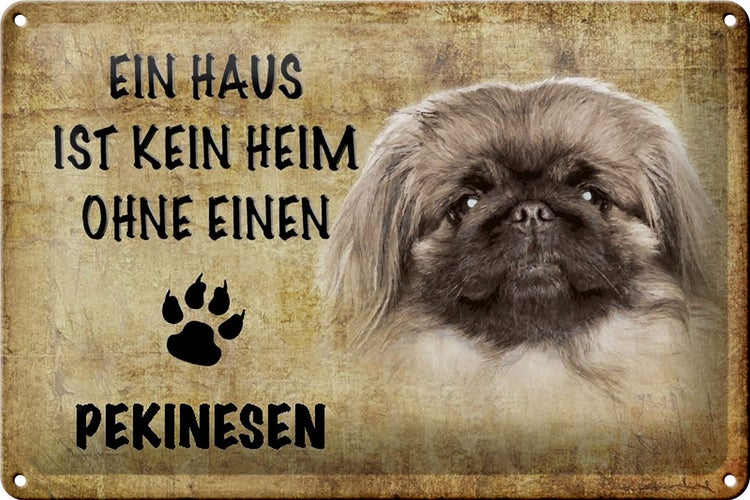 Blechschild Spruch 30x20cm Pekinesen Hund ohne kein Heim