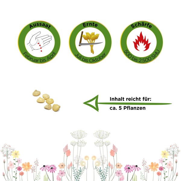 Chili Padron Samen von Deine Gartenwelt