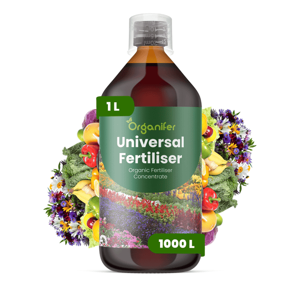Organifer Universal Flüssigdünger Konzentrat, 1 Liter Flasche ausreichend für 1000 Liter, für Blumen, Gemüse und Obst geeignet.