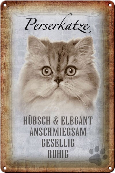 Blechschild Spruch 20x30cm Perserkatze Katze hübsch