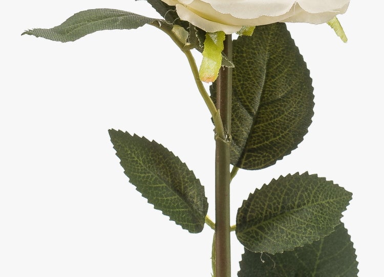 Künstlicher Bogenhanf Zweig Sansevieria mit grün-gelben gemusterten Blättern.