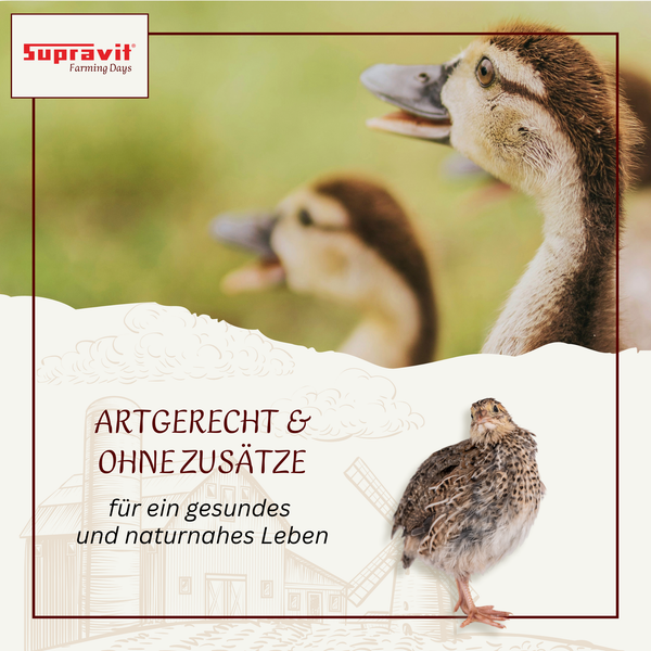 Produktbild mit dem Slogan Artgerecht und ohne Zusätze für ein gesundes und naturnahes Leben, zusammen mit dem Suprovit Logo und einem Bild von Enten.