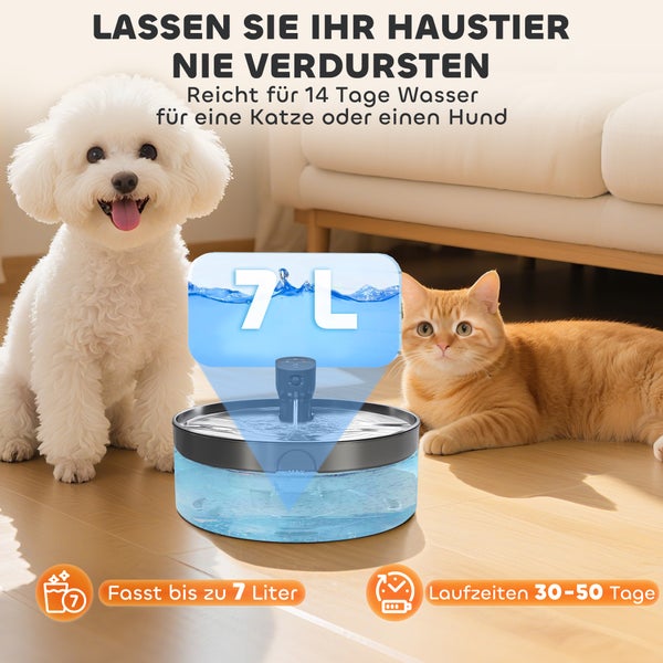 Automatische Wasserfontäne für Haustiere mit Katze und Hund