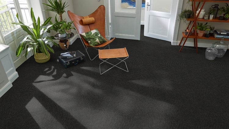 Moderner Raum mit dunklen Teppichfliesen, ledernem Butterfly-Sessel, passendem Hocker und verschiedenen Zimmerpflanzen bei hellem Tageslicht.