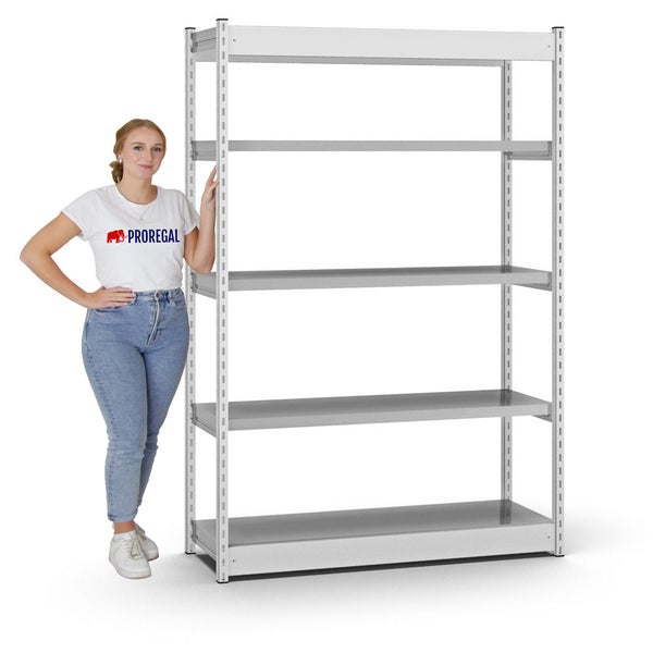 PROREGAL Fachbodenregal Stecksystem Vierkant-Profil Grundregal HxBxT 200 x 102,5 x 80 cm 5 Ebenen Einseitige Bauart Fachlast 200 kg Lichtgrau