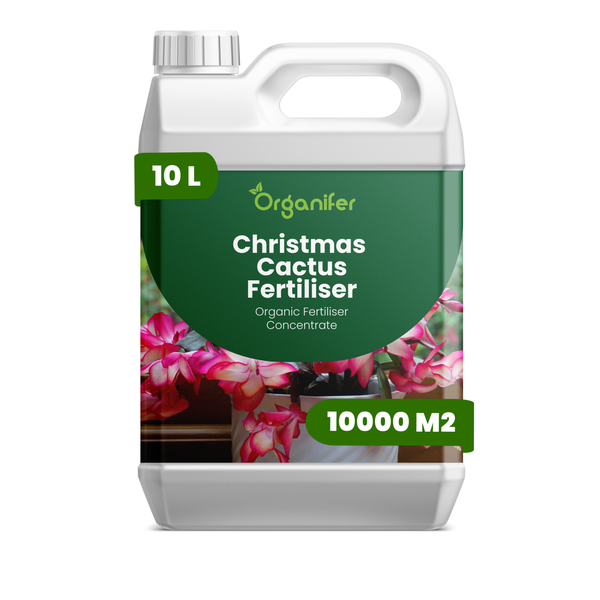 Organifer Weihnachtskaktus Dünger, organisches Konzentrat, 10 Liter für 10000 Quadratmeter.
