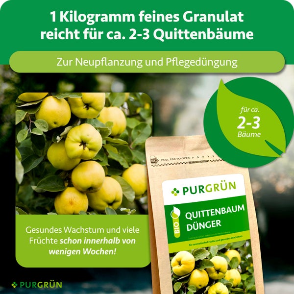 Purgrün Quittenbaum Dünger, 1 Kilogramm feines Granulat für circa 2 bis 3 Bäume, zur Neupflanzung und Pflegedüngung, Bio-Qualität, Purgrün Logo.