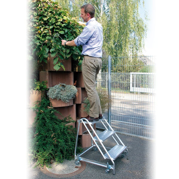 Ein Mann steht auf einer fahrbaren Aluminiumstufenleiter und schneidet eine Hecke an einer Pflanzsteinmauer.
