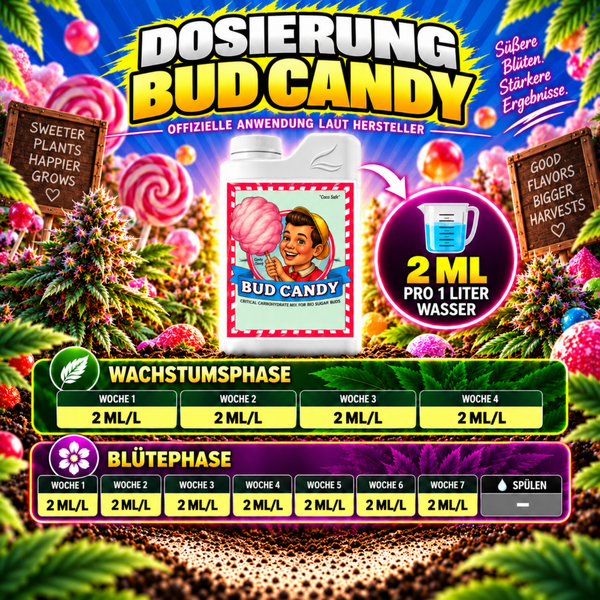 Infografik zur Dosierung von Bud Candy Pflanzennährstoff mit detailliertem Anwendungsplan für Wachstumsphase und Blütephase.