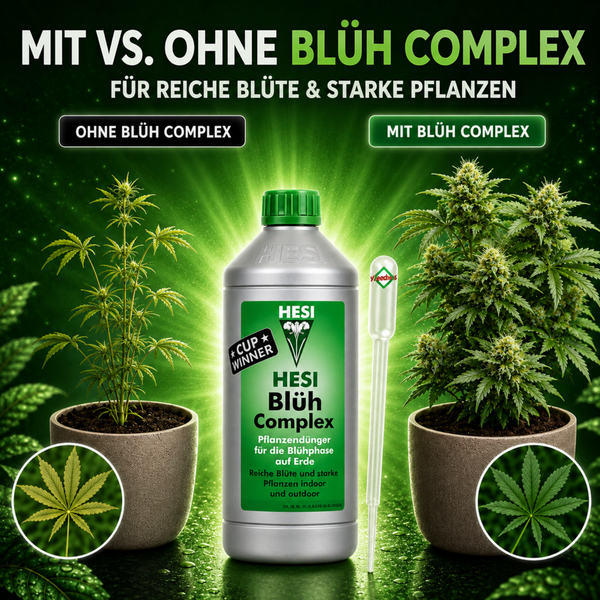 Hesi Blüh Complex Pflanzendünger Vergleich zwischen zwei Hanfpflanzen mit und ohne Düngeranwendung.