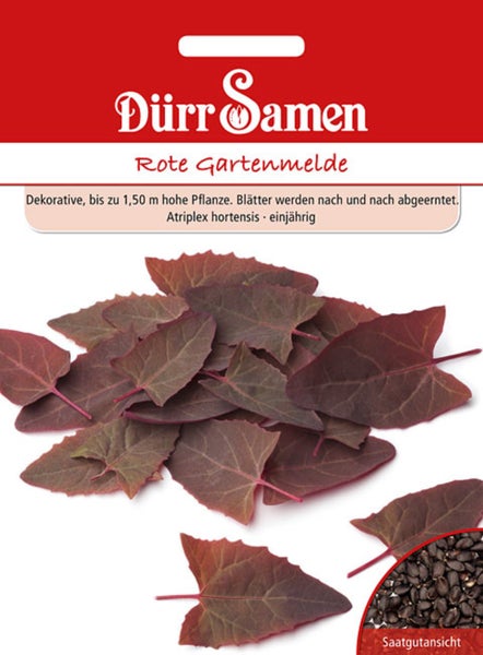 Samentüte Dürr Samen Rote Gartenmelde mit Abbildung der Blätter und Saatgutansicht.