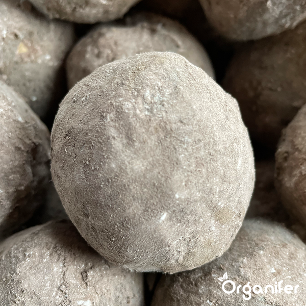 EM Pond Balls mit Pflanzenfutter (20 Stück für 1 Jahr Pflanzenfütterung) - Organifer