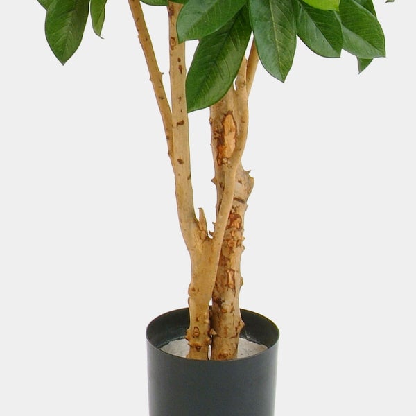 Künstliche Pflanze mit strukturierten Stämmen und grünen Blättern in einem schwarzen Topf.