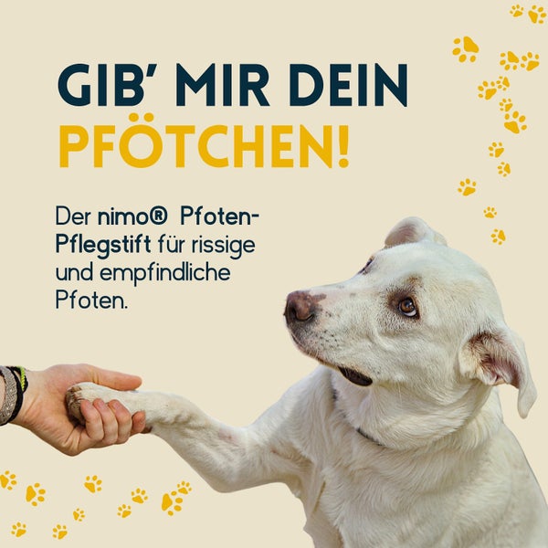 nimo® Pfoten Pflegestift • Pfotenbalsam mit Bienenwachs und Propolis zum Schutz und zur Pflege von Pfoten