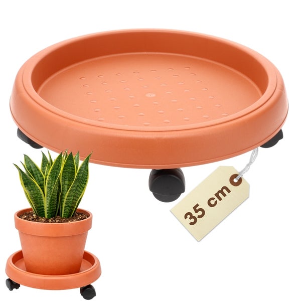 Pflanzenroller mit Pflanze und Größenangabe 35 Zentimeter