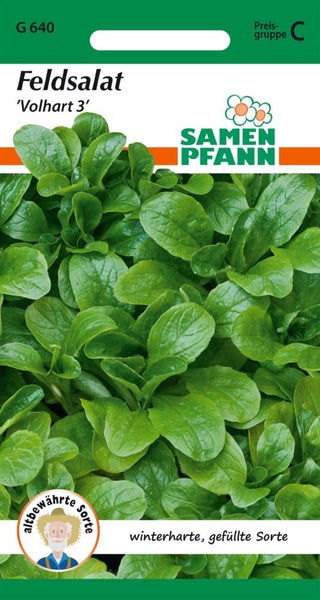 Feldsalat Samen der Sorte 'Volhart 3' von Samen Pfann