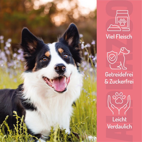 Fütterungsempfehlung für Hunde nach Gewicht und Menge pro Tag