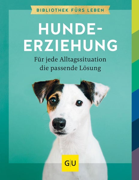 Hundeerziehung Für jede Alltagssituation die passende Lösung