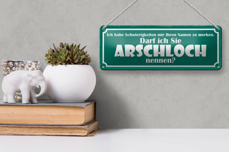 Blechschild Spruch 27x10cm darf ich Sie Arschloch nennen Dekoration