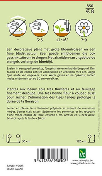 Hinweise zur Aussaat und Pflege der Pflanze