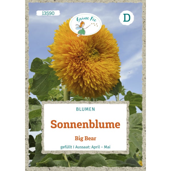 Sonnenblume Big Bear Samen von Grüne Fee