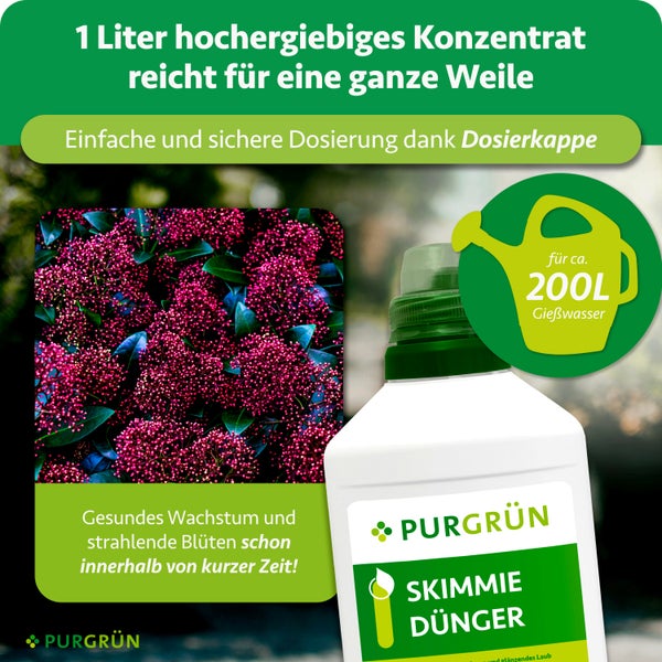 Purgrün Skimmia Dünger 1 Liter für circa 200 Liter Gießwasser mit Dosierkappe, Abbildung einer blühenden Skimmia und Purgrün Logo.