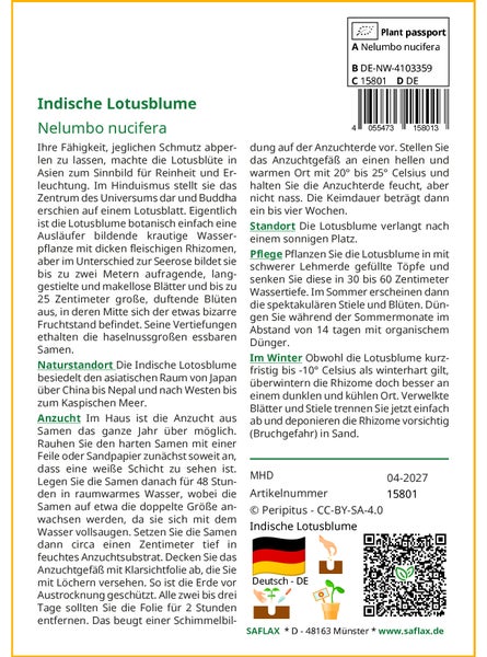 SAFLAX Geschenk Set - Indische Lotusblume - Nelumbo nucifera   - 8 Samen - Mit Geschenkbox, Versandaufkleber, Geschenkkarte und Anzuchtsubstrat