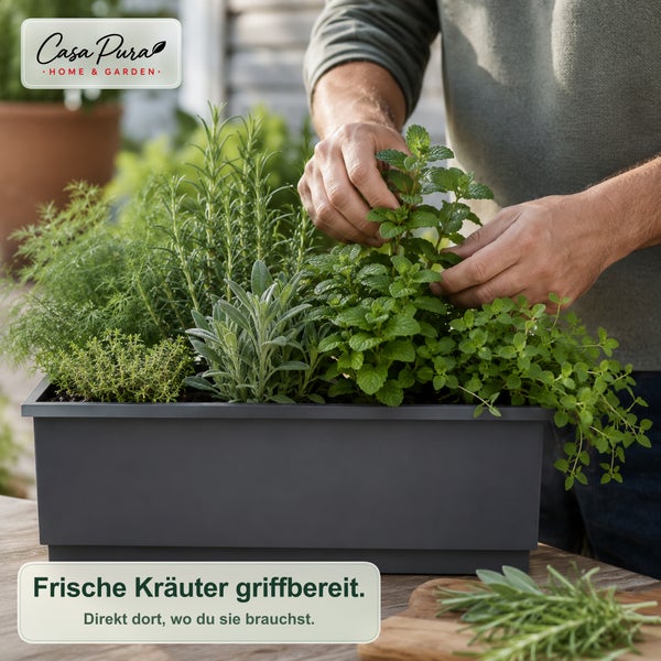 Ein Mensch erntet frische Kräuter aus einem länglichen Pflanzgefäß aus Kunststoff, das auf einem Tisch steht, mit dem Casa Pura Logo.