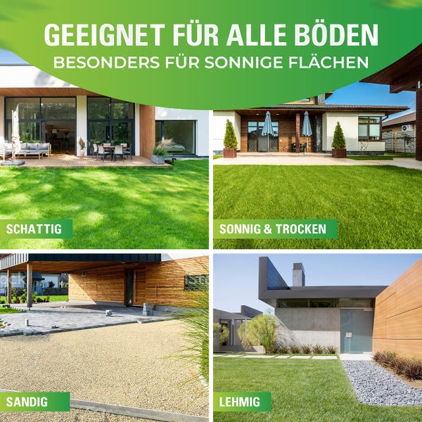 Greenyp Sunny I Dürreresistenter Trockenrasen I 5kg für 200m² I Grassamen Rasensamen Rasensaat Gras Nachsaat schnellkeimend