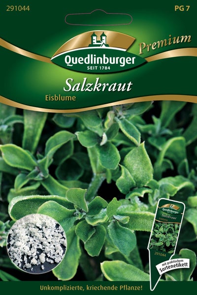Quedlinburger Samenpackung Salzkraut Eisblume, unkomplizierte kriechende Pflanze mit praktischem Sortenetikett.