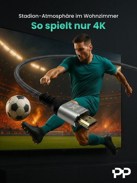 Illustration eines HDMI-Kabels vor einem Fernseher mit Fußballspiel