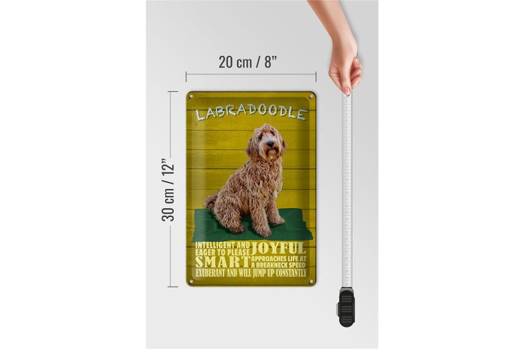 Blechschild Spruch 20x30cm Labradoodle Hund will jump up